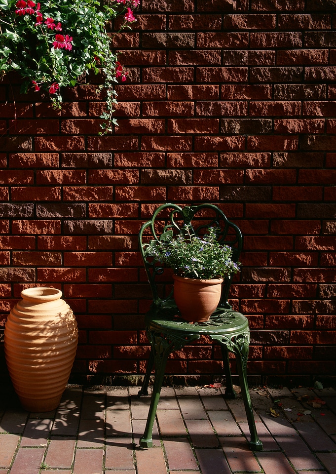 Flowers in pot on chair on bricks background