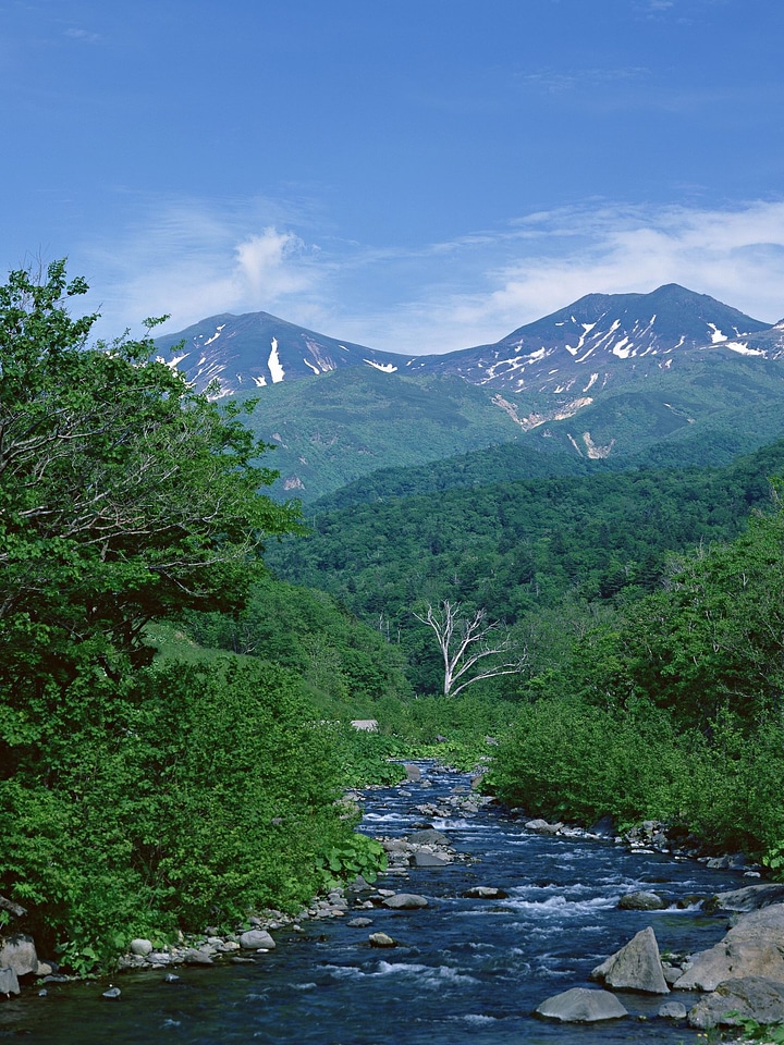Beautiful view of mountain river in summer.