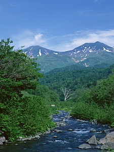Beautiful view of mountain river in summer.
