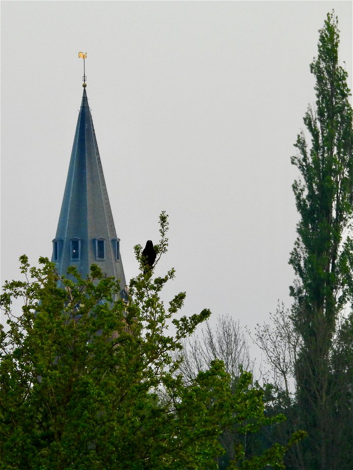 Kerktoren Wageningen