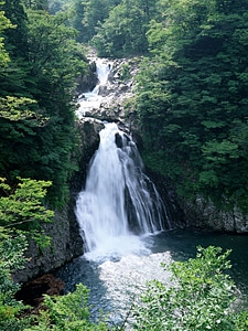 Waterfall in forest photo