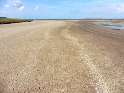 Littoral charentais, Oléron, Moëze