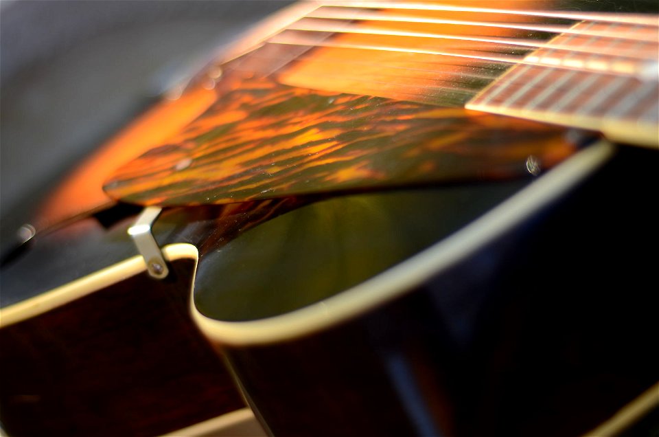 Capital pickguard