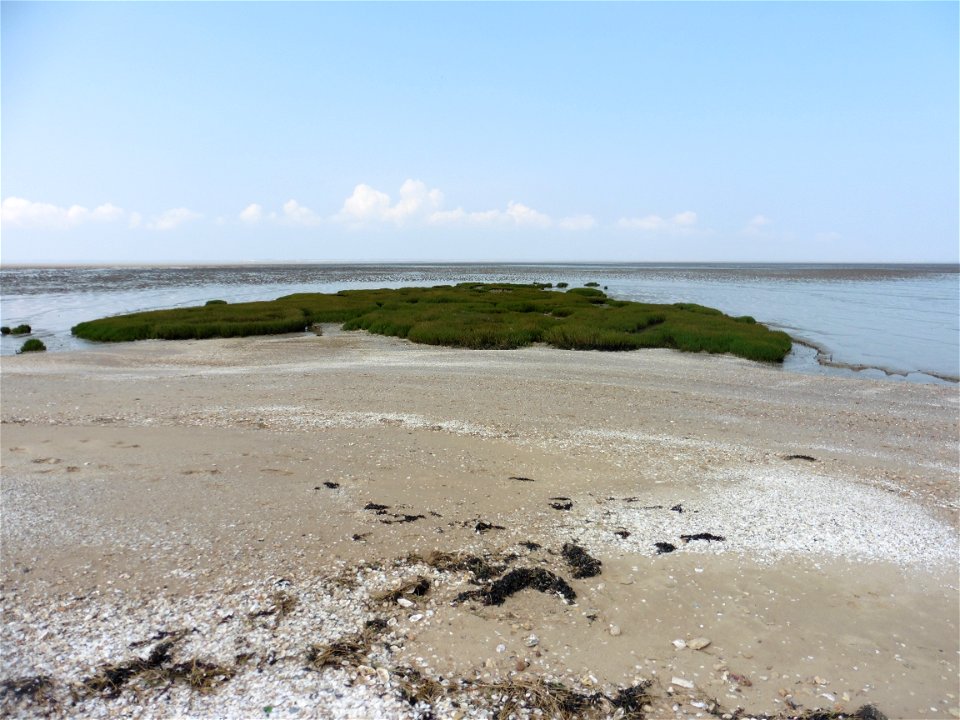 Littoral charentais, Oléron, Moëze