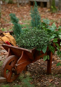 flowers in a pot, garden decoration ideas