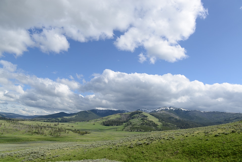 Bunsen Peak Trail. Yellowstone national park