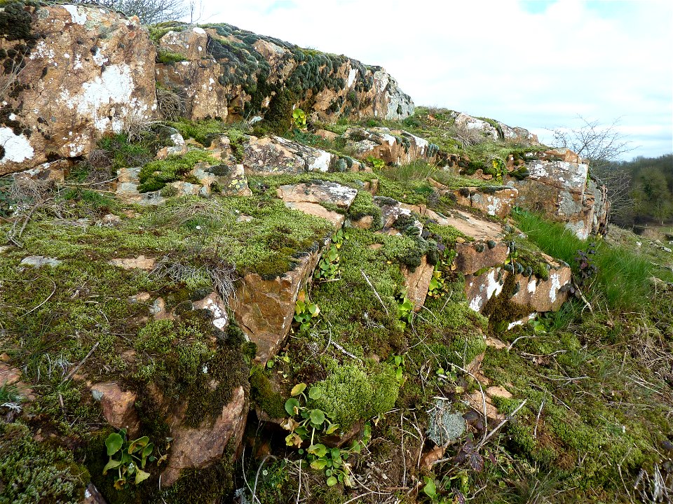 Vallée de l'Argenton