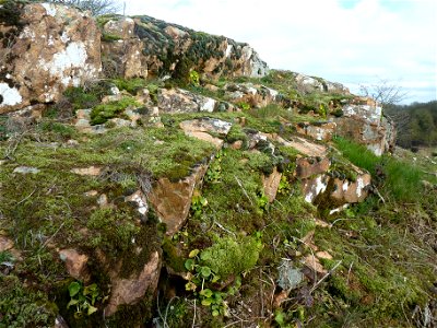 Vallée de l'Argenton