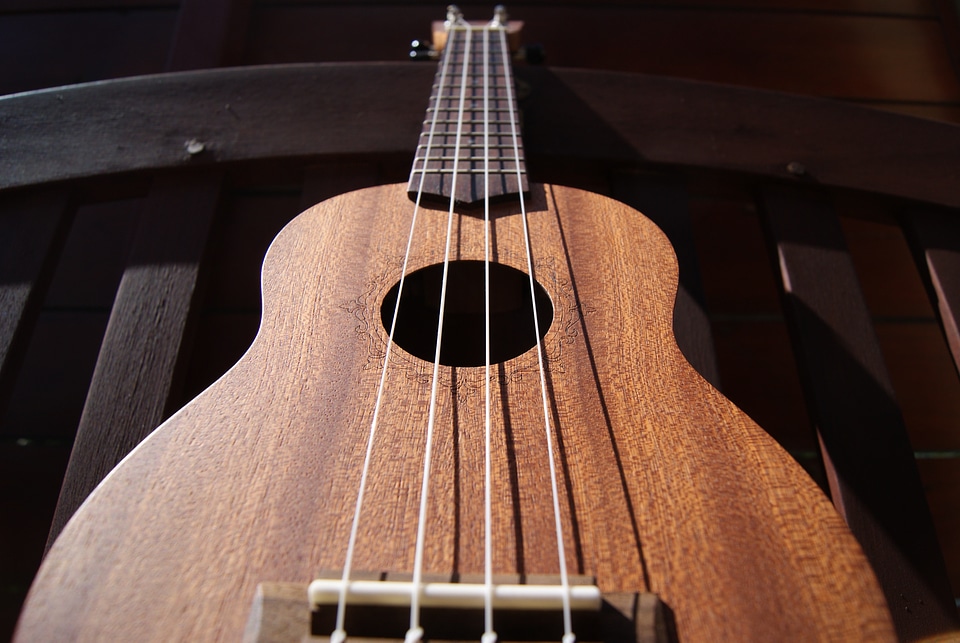 Hollow wood instrument