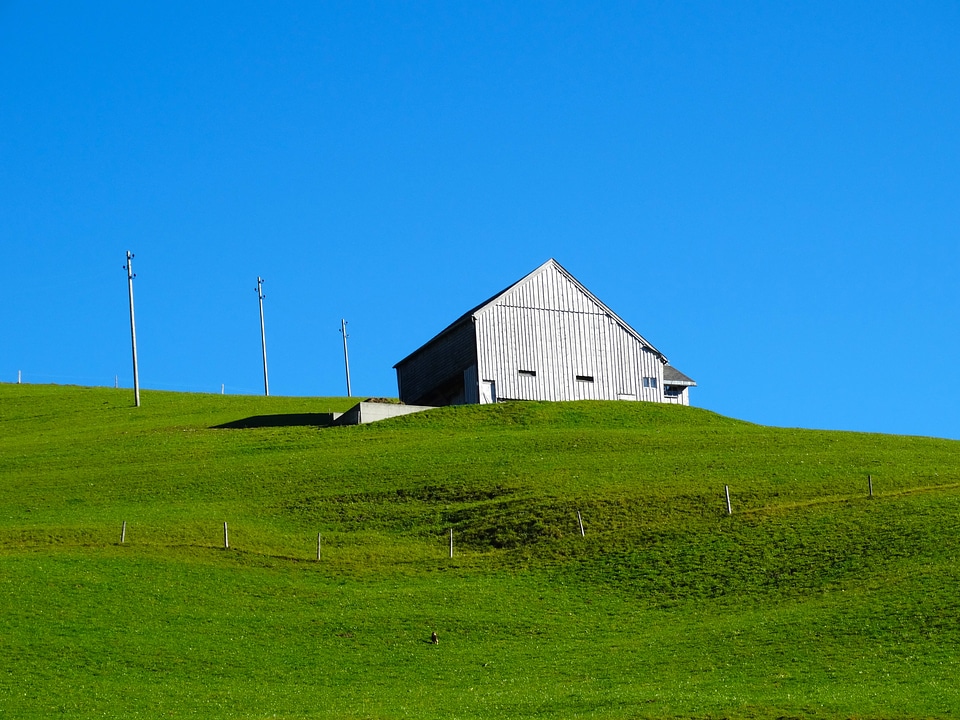 Green meadow berghäuser alpwirtschaft