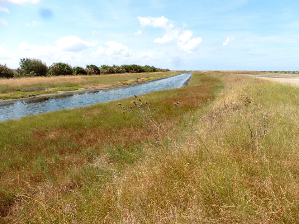 Littoral charentais, Oléron, Moëze