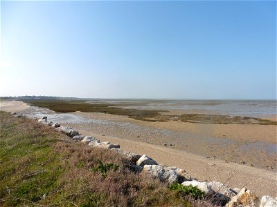 Littoral charentais, Oléron, Moëze photo