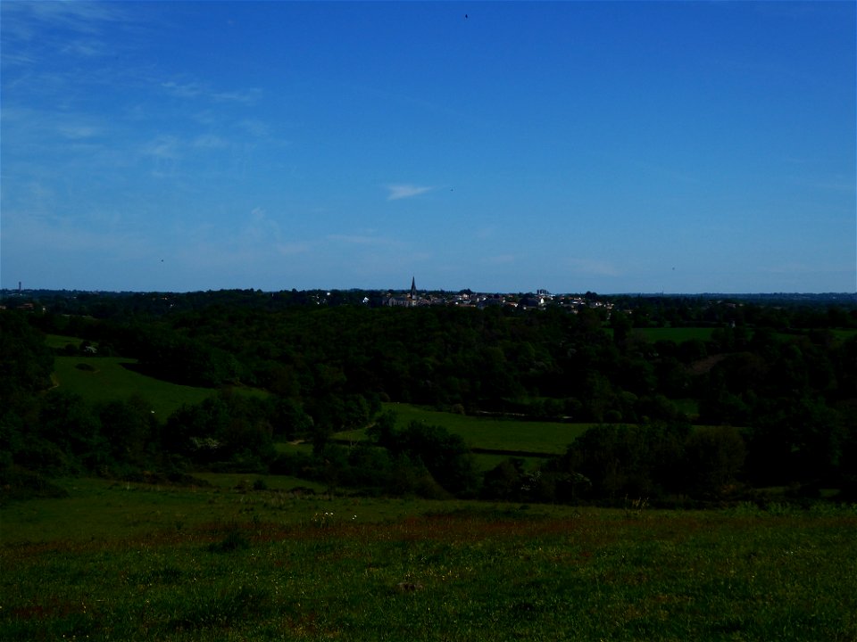 Tiffauges depuis Torfou