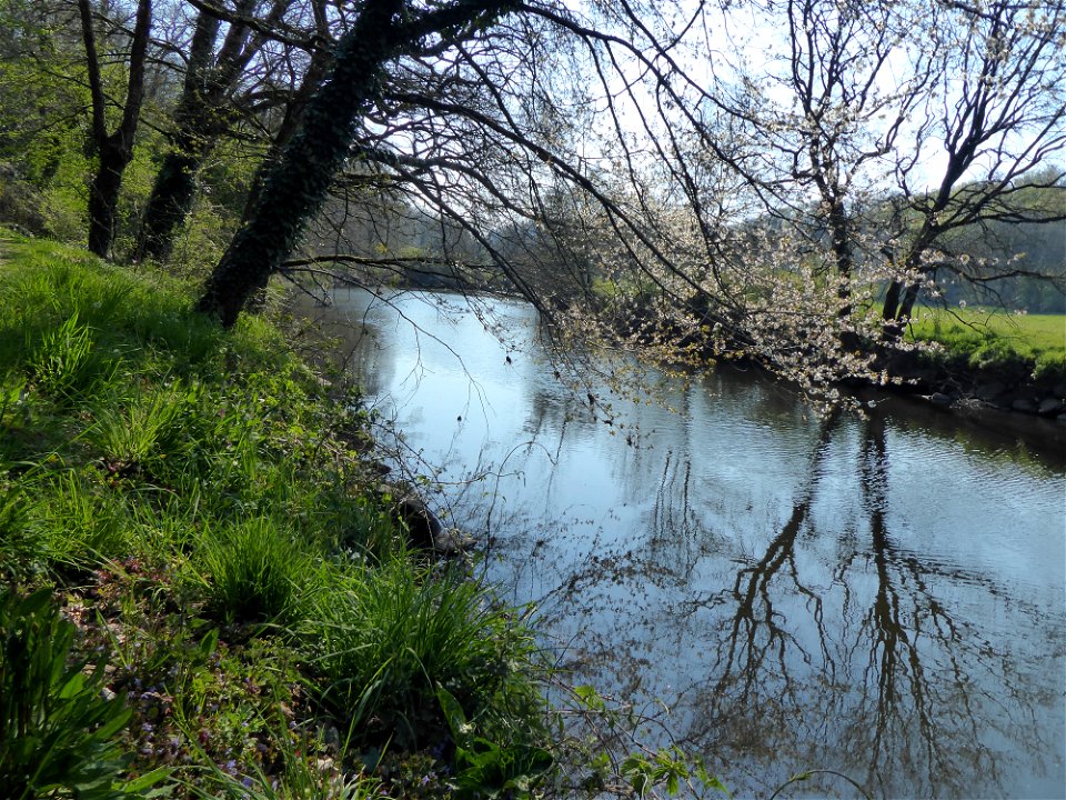 Bords de Sèvre Nantaise, Vendée