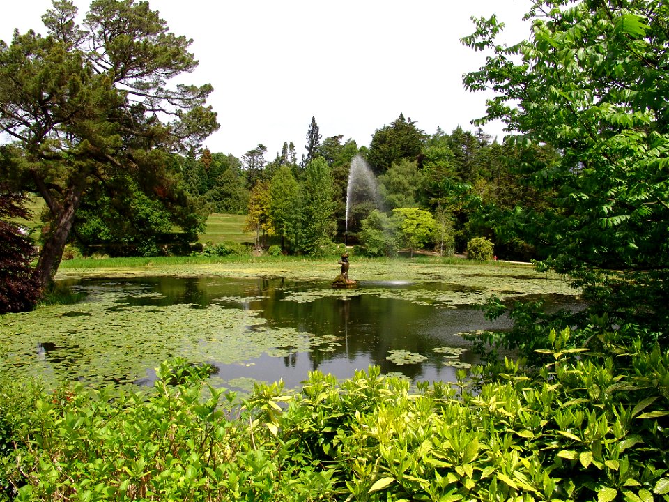 DSC00170