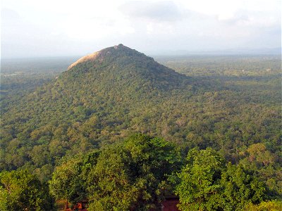 DSC04359