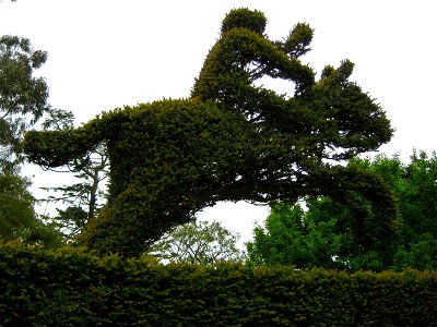 Mount Stewart (15)