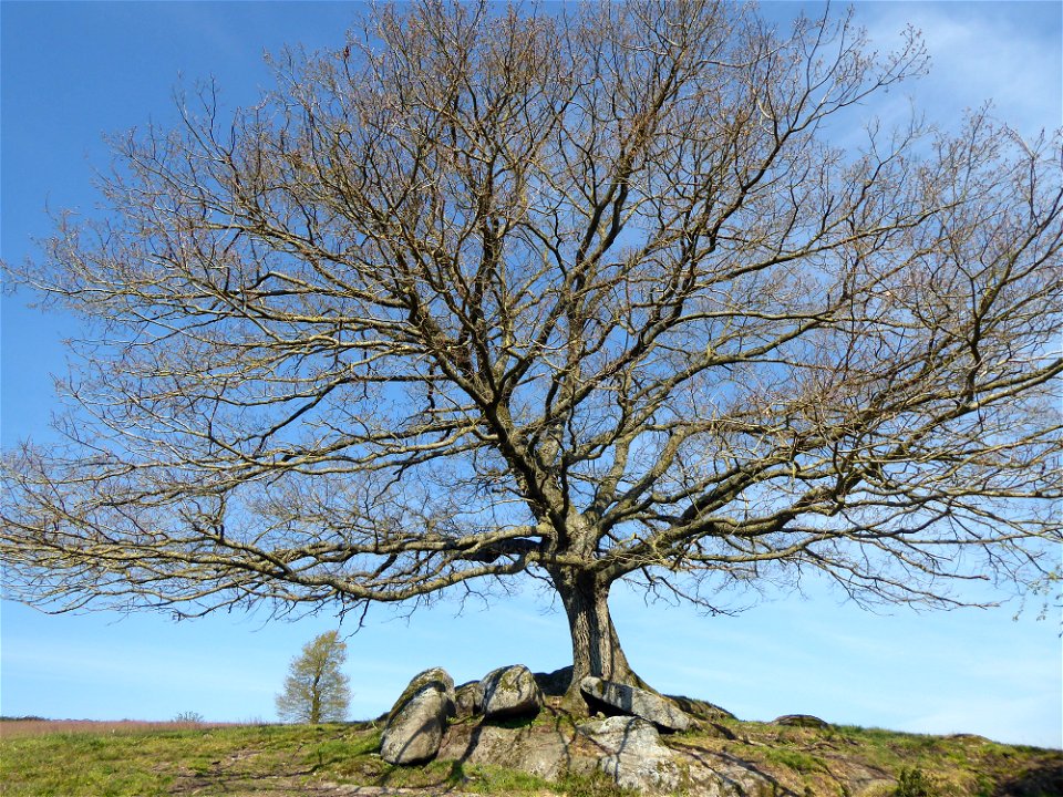 Vallée des Amourettes, Vendée
