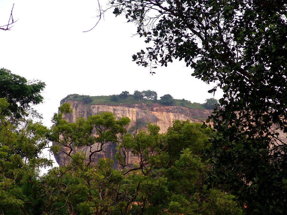DSC04308