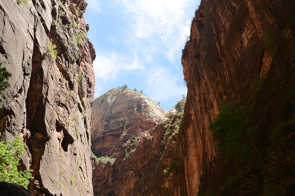 Amazing landscape of canyon in Zion National Park, The Narrow