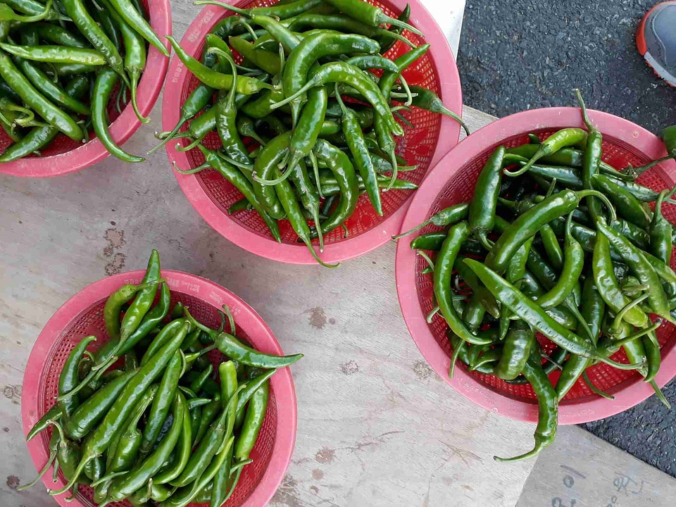 Green peppers in the threshing basket on wooden table