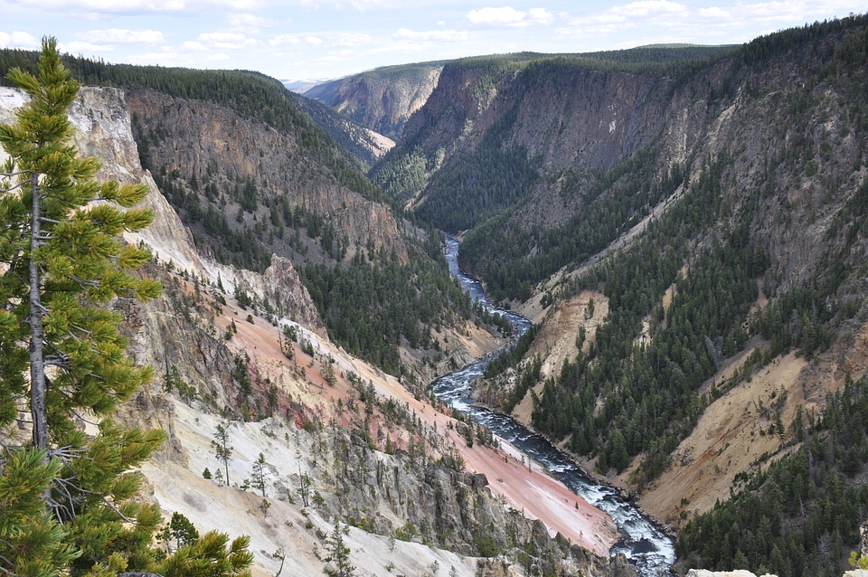 Beautiful summer view of the Lower Falls of the Yellowstone River
