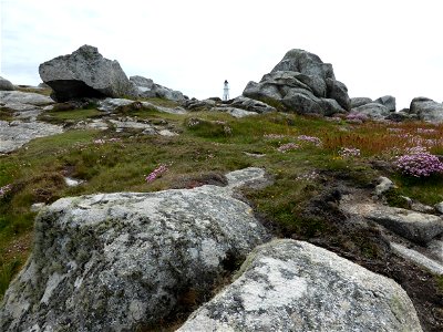 P1000796