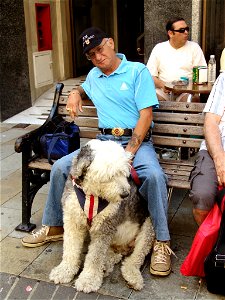 DSC05800