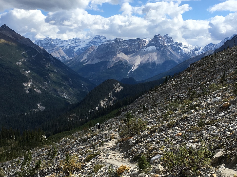 Canadian Rocky Mountains and the Saskatchewan Glacier