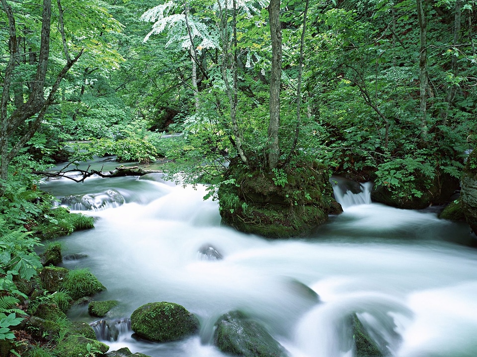 nice mountain stream with green stones photo