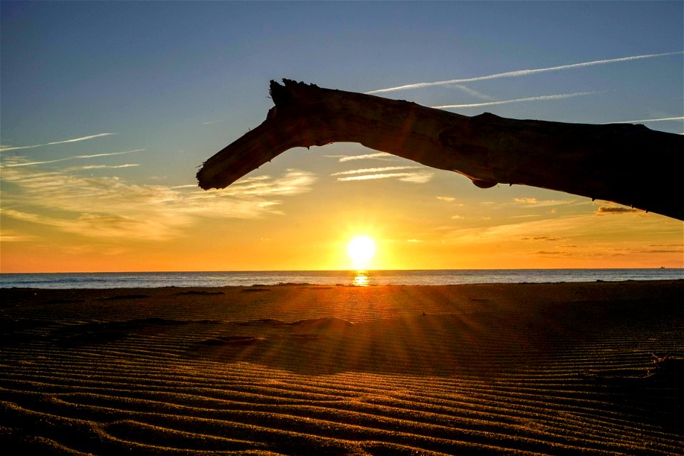 23-12-2019 Aiguamolls de l' Empordà