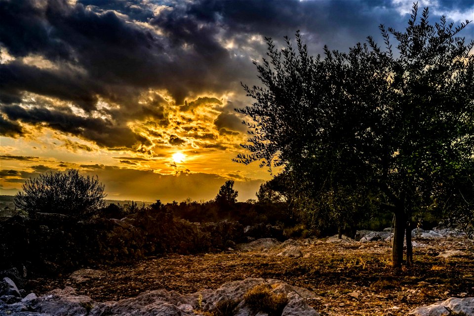 02-11-2019 La Garriga d'Avinyonet de Puigventós