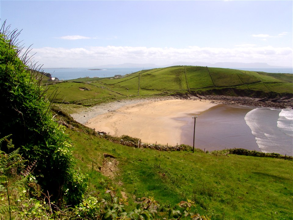 DSC00552