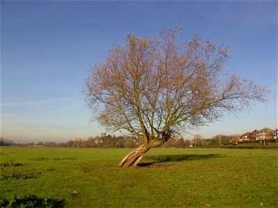 Kingsbury 047