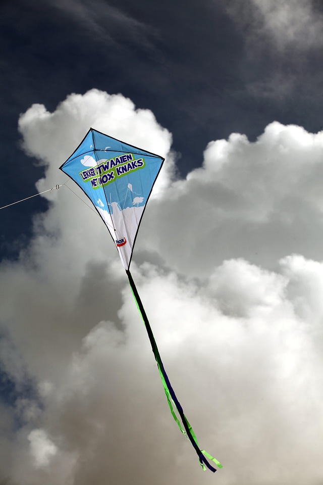 A blue kite flying against a blue sky