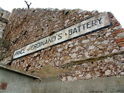 DSC05567