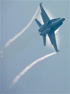 F-18 Hornet photo