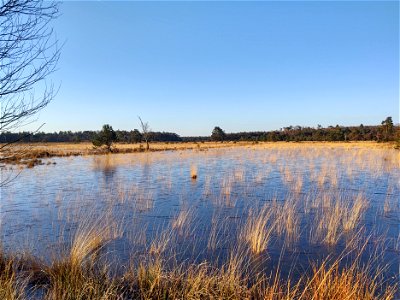 Leersumsche veld