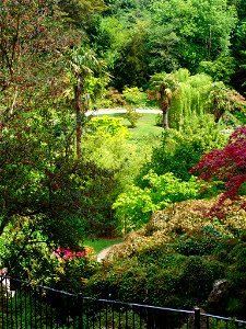 Dsc00175