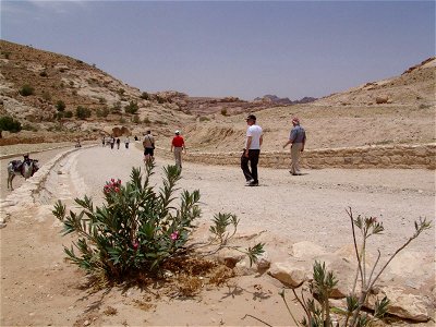 DSC07059