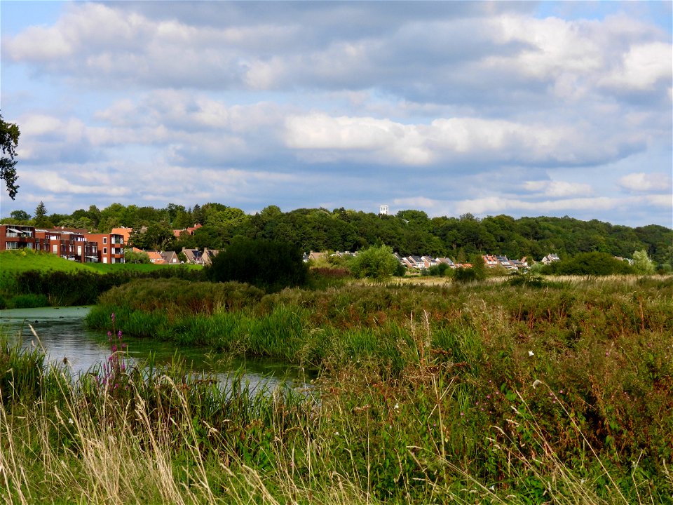 Uiterwaarden en berg