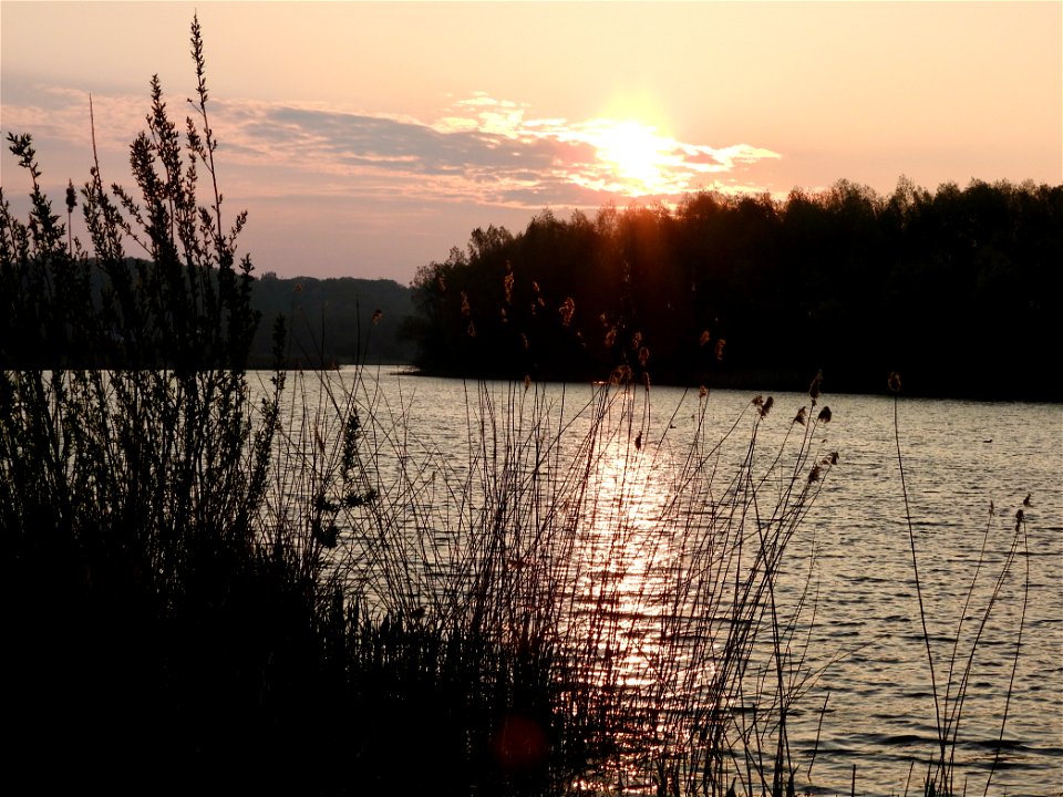 Nevengeul van de Rijn bij Wageningen