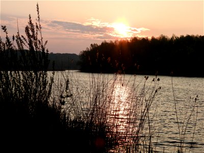 Nevengeul van de Rijn bij Wageningen