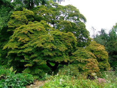 DSC02805