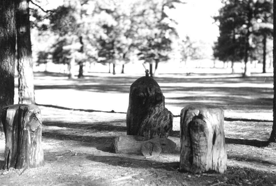 Historic Photo Cibola NF & NGs