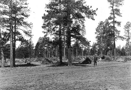 Historic Photos Cibola NF & NGs