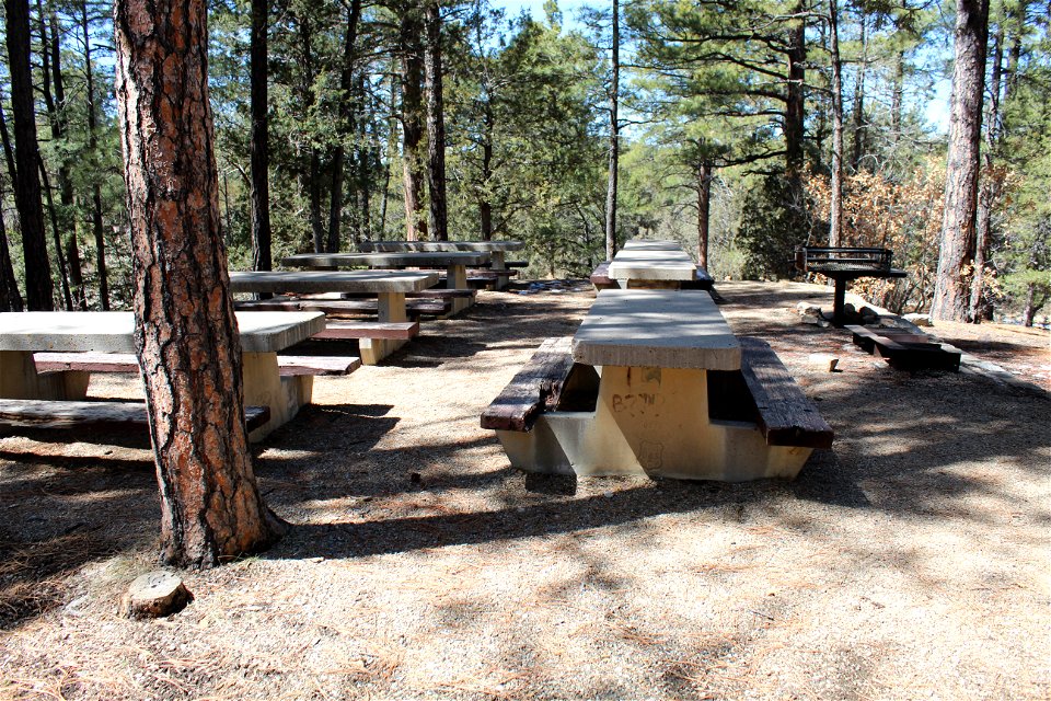 Sandia Ranger District – Pine Flat Picnic Area