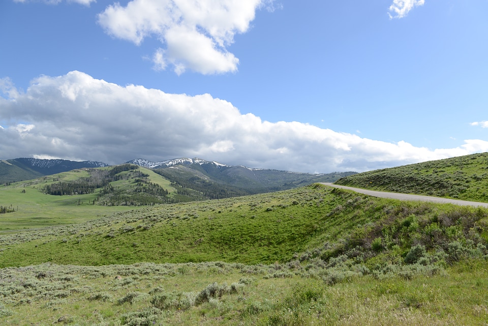 Bunsen Peak Trail. Yellowstone national park