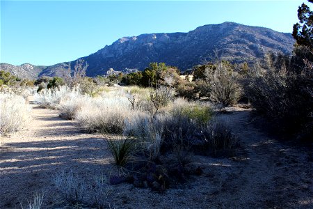 Sandia Ranger District – 3 Gun Trailhead