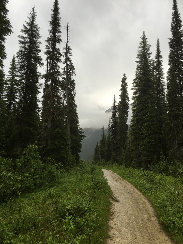The Iceline Trail in Yoho National Park, Canadian Rockies